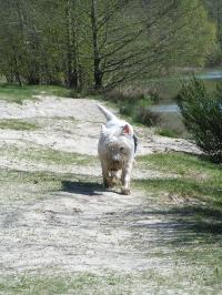 Klik op de foto voor groter formaat